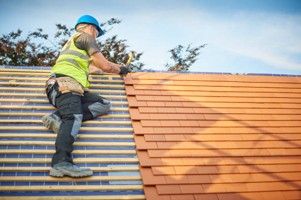 Best Roof Moss and Algae Removal  in Mcnary, AZ